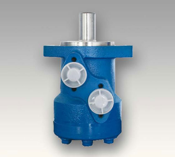 BM1 motor