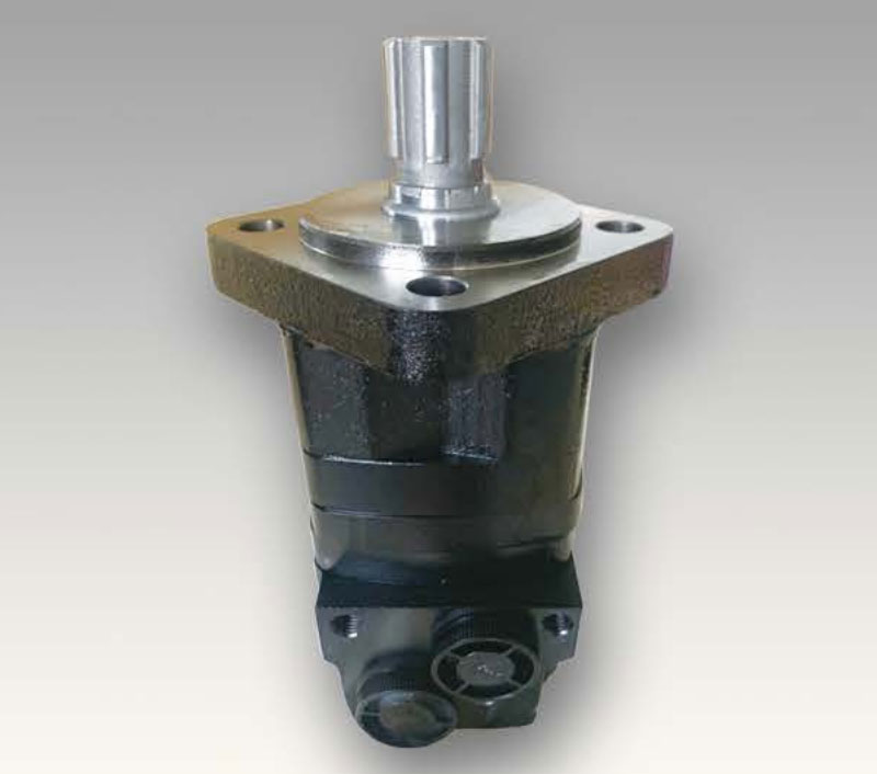 BM5 motor
