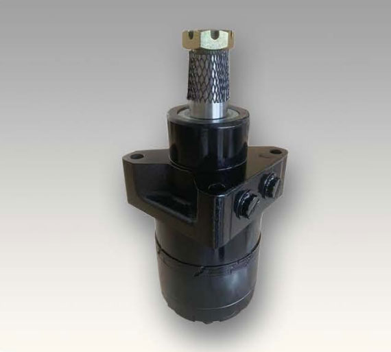 BMER motor