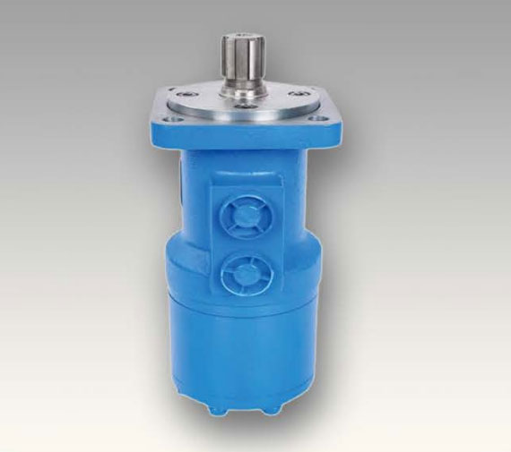 BM3 motor