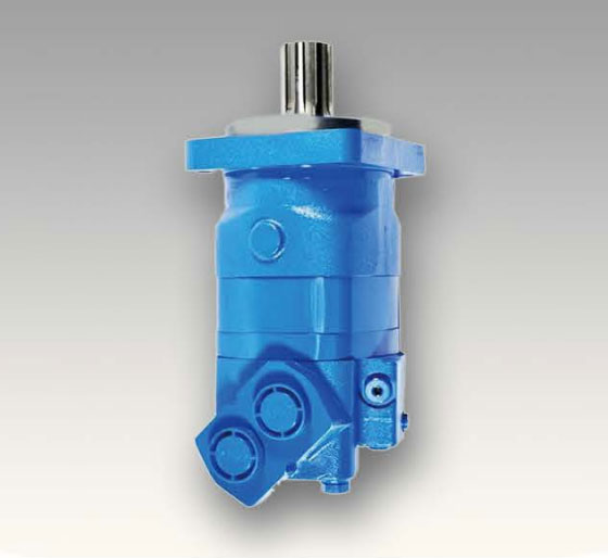 BM6 motor