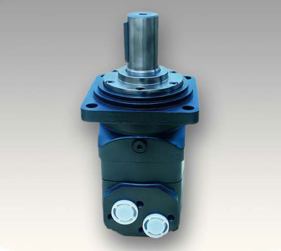 BMV motor