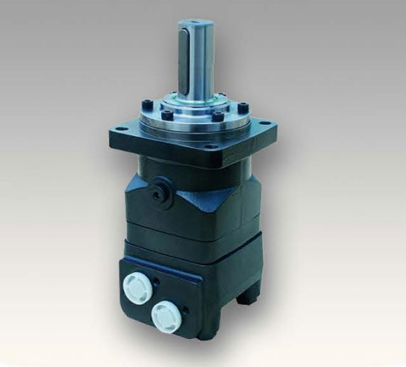 BMT motor